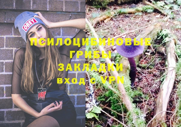 соль ск Алексеевка