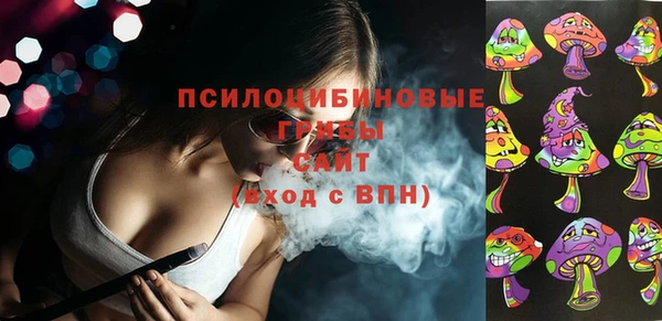 стафф Алексин