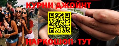 крисы Севастополь