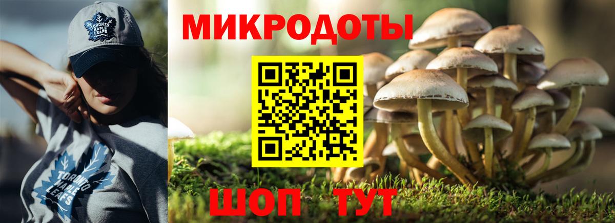 Галлюциногенные грибы мухоморы  Галлюциногенные грибы прущие грибы  Серов  Вход с VPN 